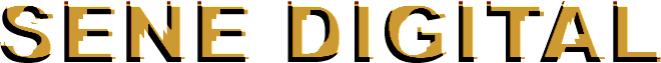 Sene Digital cover